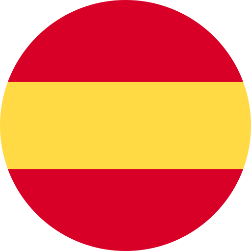 Bandera del idioma seleccionado